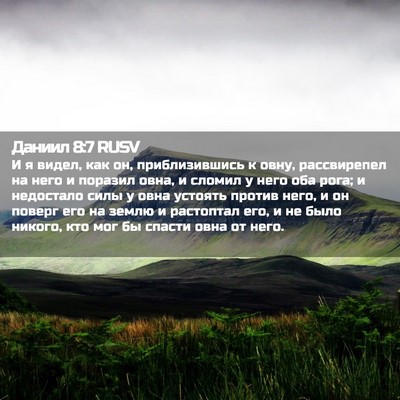 Picture 02 - Даниил 8:7 RUSV - И я видел, как он, - Bible Verse Picture