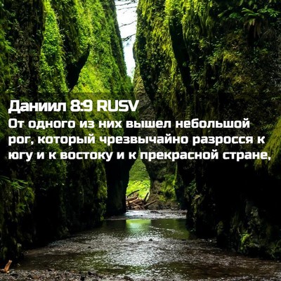 Picture 02 - Даниил 8:9 RUSV - От одного из них вышел - Bible Verse Picture