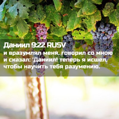 Picture 02 - Даниил 9:22 RUSV - и вразумлял меня, говорил - Bible Verse Picture