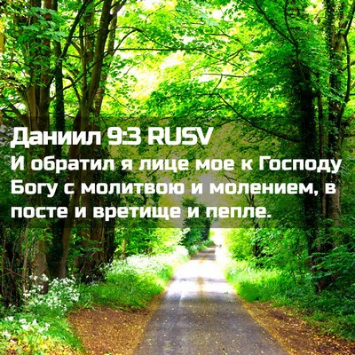 Picture 02 - Даниил 9:3 RUSV - И обратил я лице мое к - Bible Verse Picture