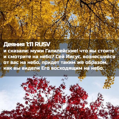 Picture 02 - Деяния 1:11 RUSV - и сказали: мужи - Bible Verse Picture