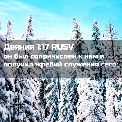Picture 02 - Деяния 1:17 RUSV - он был сопричислен к нам и - Bible Verse Picture