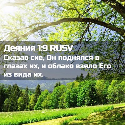 Picture 02 - Деяния 1:9 RUSV - Сказав сие, Он поднялся в - Bible Verse Picture