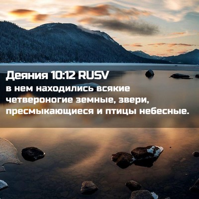 Picture 02 - Деяния 10:12 RUSV - в нем находились всякие - Bible Verse Picture