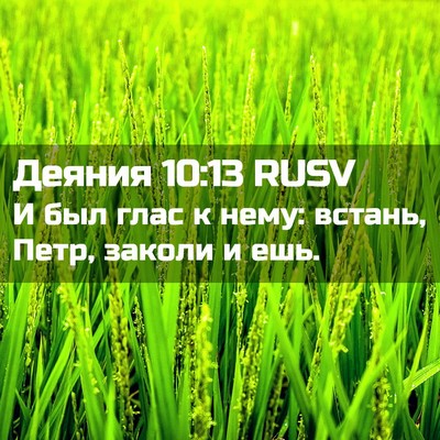 Picture 02 - Деяния 10:13 RUSV - И был глас к нему: встань, - Bible Verse Picture