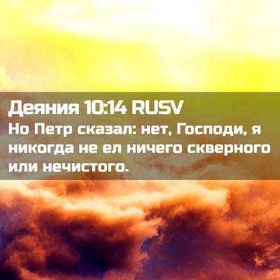 Picture 02 - Деяния 10:14 RUSV - Но Петр сказал: нет, - Bible Verse Picture