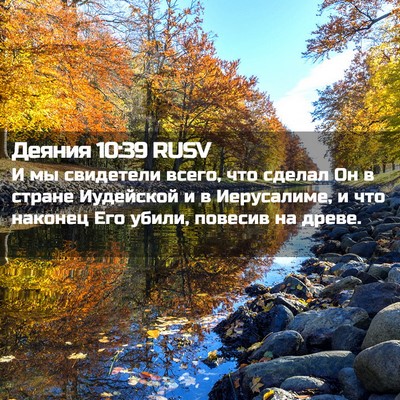Picture 02 - Деяния 10:39 RUSV - И мы свидетели всего, что - Bible Verse Picture