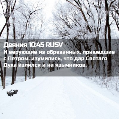 Picture 02 - Деяния 10:45 RUSV - И верующие из обрезанных, - Bible Verse Picture