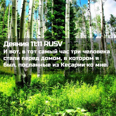 Picture 02 - Деяния 11:11 RUSV - И вот, в тот самый час три - Bible Verse Picture