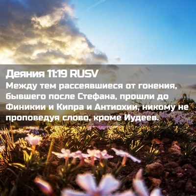 Picture 02 - Деяния 11:19 RUSV - Между тем рассеявшиеся от - Bible Verse Picture