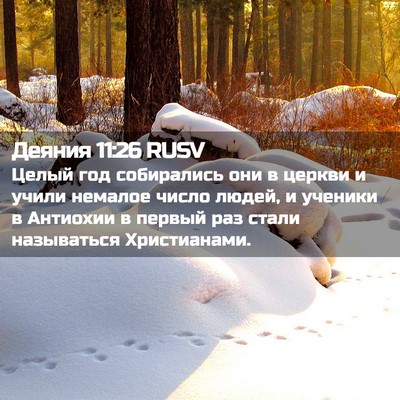 Picture 02 - Деяния 11:26 RUSV - Целый год собирались они в - Bible Verse Picture