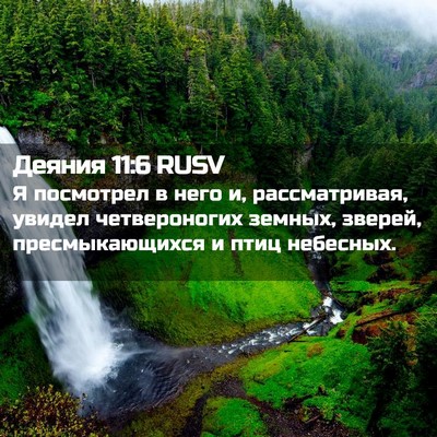 Picture 02 - Деяния 11:6 RUSV - Я посмотрел в него и, - Bible Verse Picture