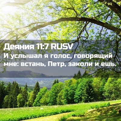 Picture 02 - Деяния 11:7 RUSV - И услышал я голос, - Bible Verse Picture
