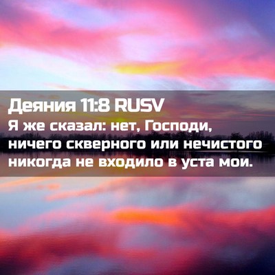 Picture 02 - Деяния 11:8 RUSV - Я же сказал: нет, Господи, - Bible Verse Picture