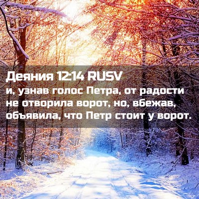 Picture 02 - Деяния 12:14 RUSV - и, узнав голос Петра, от - Bible Verse Picture