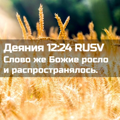 Picture 02 - Деяния 12:24 RUSV - Слово же Божие росло и - Bible Verse Picture