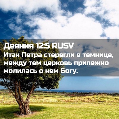 Picture 02 - Деяния 12:5 RUSV - Итак Петра стерегли в - Bible Verse Picture
