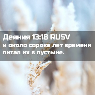 Picture 02 - Деяния 13:18 RUSV - и около сорока лет времени - Bible Verse Picture
