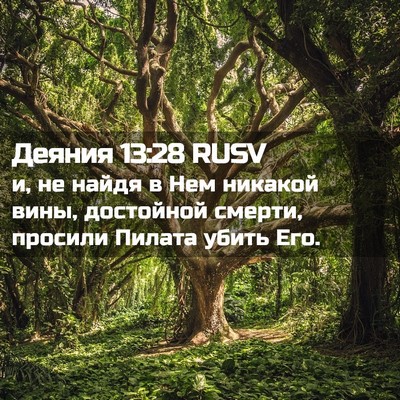 Picture 02 - Деяния 13:28 RUSV - и, не найдя в Нем никакой - Bible Verse Picture