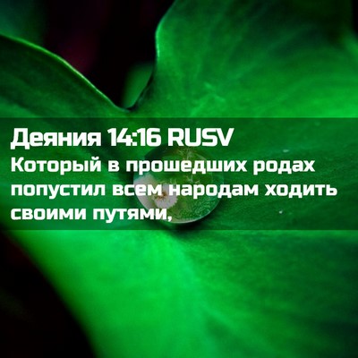 Picture 02 - Деяния 14:16 RUSV - Который в прошедших родах - Bible Verse Picture