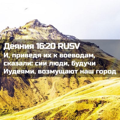 Picture 02 - Деяния 16:20 RUSV - И, приведя их к воеводам, - Bible Verse Picture