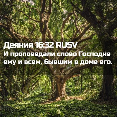 Picture 02 - Деяния 16:32 RUSV - И проповедали слово - Bible Verse Picture