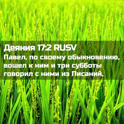 Picture 02 - Деяния 17:2 RUSV - Павел, по своему - Bible Verse Picture