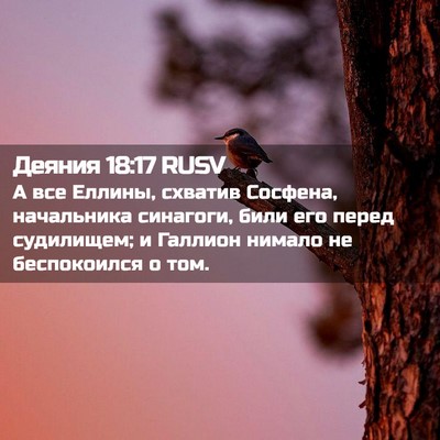 Picture 02 - Деяния 18:17 RUSV - А все Еллины, схватив - Bible Verse Picture