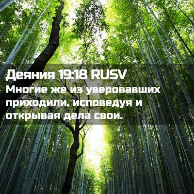 Picture 02 - Деяния 19:18 RUSV - Многие же из уверовавших - Bible Verse Picture