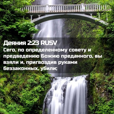 Picture 02 - Деяния 2:23 RUSV - Сего, по определенному - Bible Verse Picture