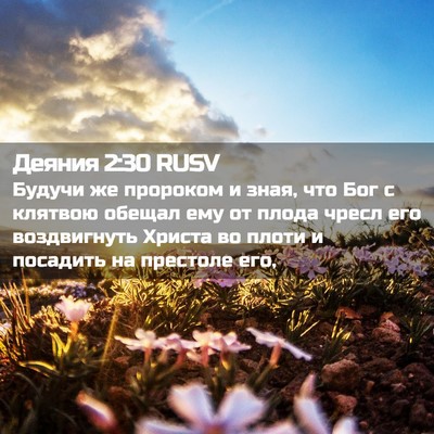 Picture 02 - Деяния 2:30 RUSV - Будучи же пророком и зная, - Bible Verse Picture