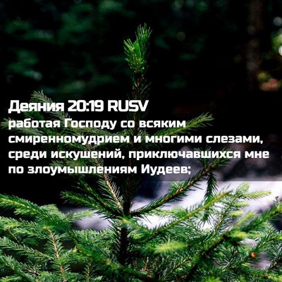 Picture 02 - Деяния 20:19 RUSV - работая Господу со всяким - Bible Verse Picture