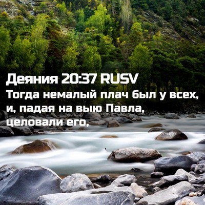 Picture 02 - Деяния 20:37 RUSV - Тогда немалый плач был у - Bible Verse Picture