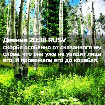 Picture 02 - Деяния 20:38 RUSV - скорбя особенно от - Bible Verse Picture