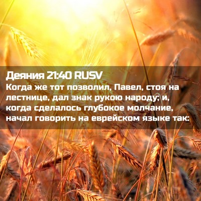 Picture 02 - Деяния 21:40 RUSV - Когда же тот позволил, - Bible Verse Picture