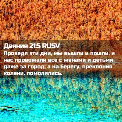 Picture 02 - Деяния 21:5 RUSV - Проведя эти дни, мы вышли и - Bible Verse Picture