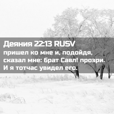 Picture 02 - Деяния 22:13 RUSV - пришел ко мне и, подойдя, - Bible Verse Picture