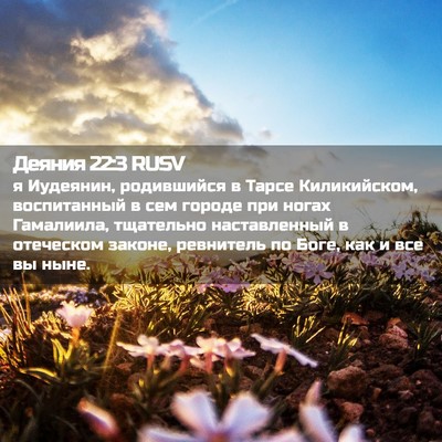 Picture 02 - Деяния 22:3 RUSV - я Иудеянин, родившийся в - Bible Verse Picture