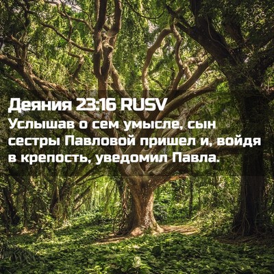 Picture 02 - Деяния 23:16 RUSV - Услышав о сем умысле, сын - Bible Verse Picture