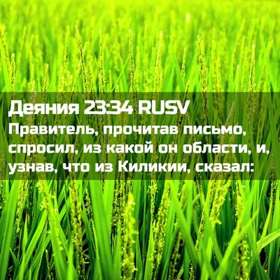 Picture 02 - Деяния 23:34 RUSV - Правитель, прочитав - Bible Verse Picture
