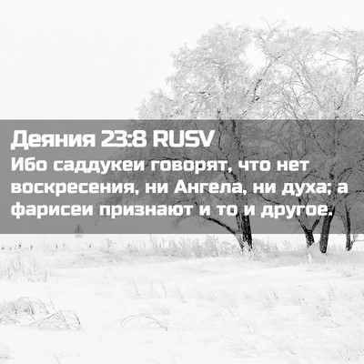 Picture 02 - Деяния 23:8 RUSV - Ибо саддукеи говорят, что - Bible Verse Picture