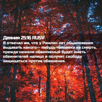 Picture 02 - Деяния 25:16 RUSV - Я отвечал им, что у Римлян - Bible Verse Picture