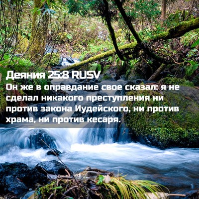 Picture 02 - Деяния 25:8 RUSV - Он же в оправдание свое - Bible Verse Picture