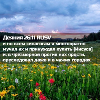 Picture 02 - Деяния 26:11 RUSV - и по всем синагогам я - Bible Verse Picture