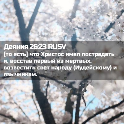 Picture 02 - Деяния 26:23 RUSV - [то есть] что Христос имел - Bible Verse Picture