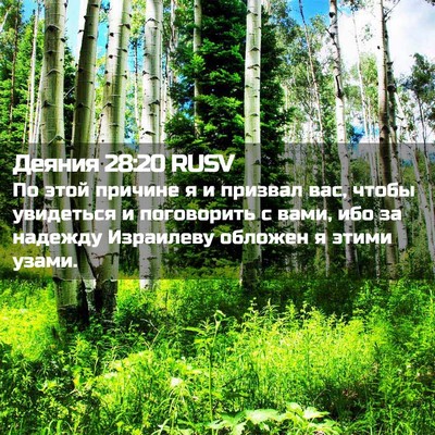 Picture 02 - Деяния 28:20 RUSV - По этой причине я и призвал - Bible Verse Picture