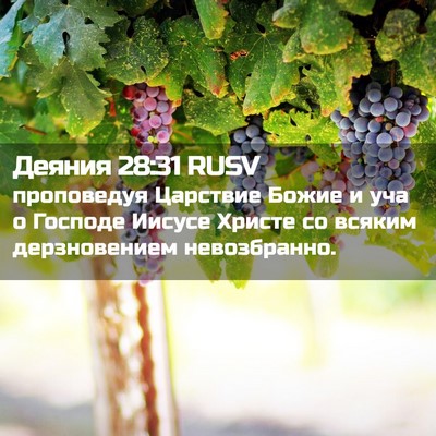 Picture 02 - Деяния 28:31 RUSV - проповедуя Царствие Божие - Bible Verse Picture