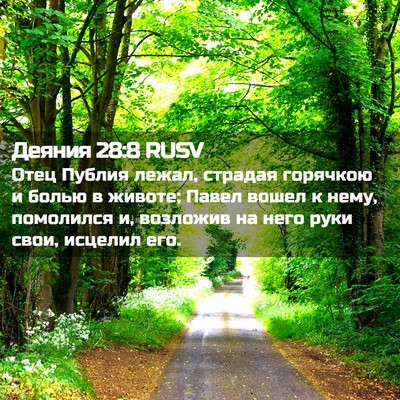 Picture 02 - Деяния 28:8 RUSV - Отец Публия лежал, страдая - Bible Verse Picture
