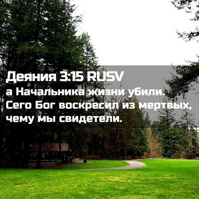 Picture 02 - Деяния 3:15 RUSV - а Начальника жизни убили. - Bible Verse Picture