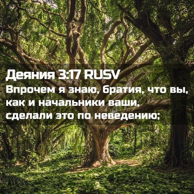 Picture 02 - Деяния 3:17 RUSV - Впрочем я знаю, братия, что - Bible Verse Picture